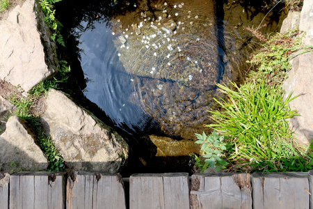 The spring of the longest Czech river Vltava in Sumava National Park in the Czech Republic. Coins at the bottom of the little pond are sparkling in the sunlight.の写真素材