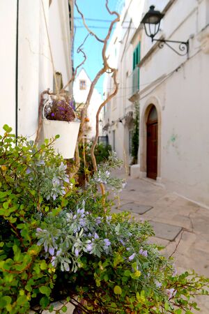 Street in Locorotondo town, Italy, region of Apulia, Adriatic Sea - blooming flowers in the foregroundの写真素材