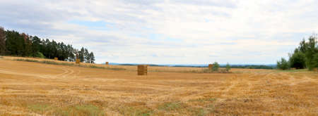 Harvested late summer grain field with hay packs near Slavonice, Czech Republic, bohemian regionの写真素材
