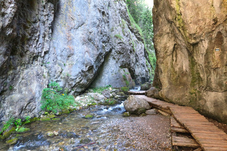 The canyon in Prosiecka Valley (Prosiecka dolina) in summertime with its typical wooden walking path, northern Slovakia, Europeの写真素材