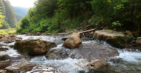 Mountain river with green mossy stones and small waterfall. Captured in Prosiecka Dolina, Slovak Natural Park in Slovakia.の写真素材