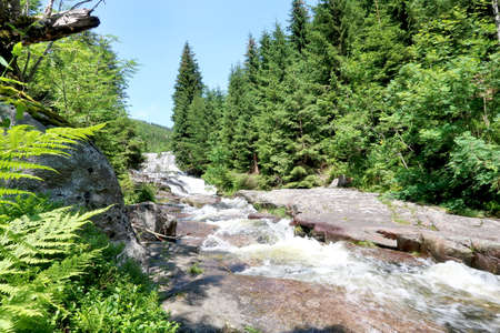 Bile Labe (White Elbe) in Giant Mountains (Krkonose) in the middle of the summer, Czech Republic, Bohemian Regionの写真素材