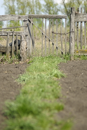 old wooden fence in the gardenの写真素材