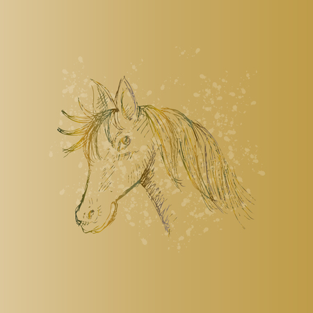 Hand drawing horse headのイラスト素材