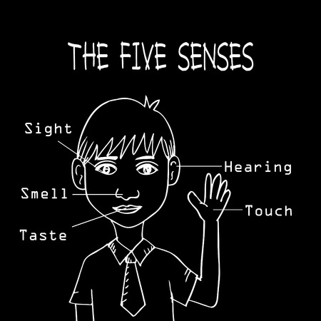 Five senses educational conceptのイラスト素材
