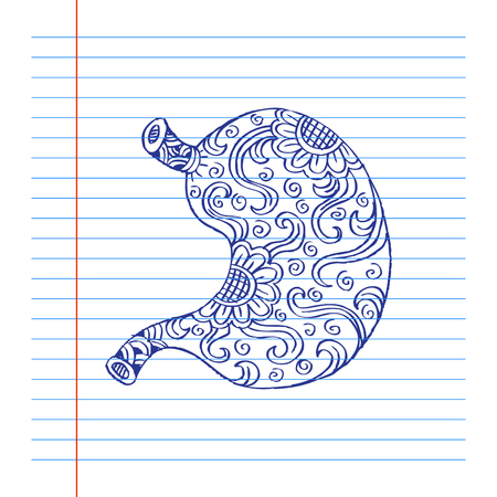 Human stomach in doodle style.のイラスト素材