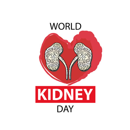 World Kidney Day with kidney illustration on white background.のイラスト素材