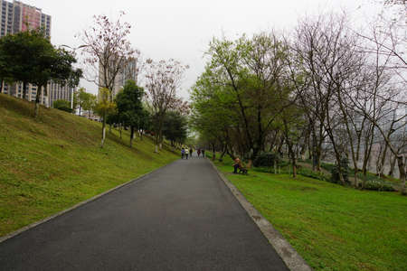 People in a park