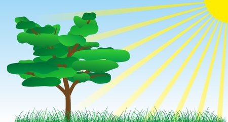 A vector comic-style tree in front of blue skyのイラスト素材
