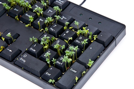 Black keyboard with garden cressの写真素材