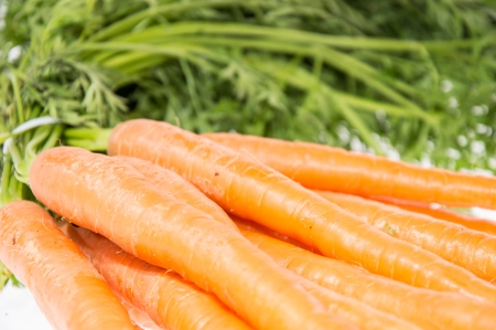 Bunch of Carrots closeup shotの写真素材