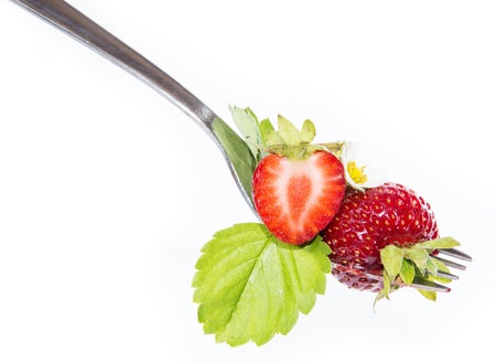 Strawberry on a fork isolated on whiteの写真素材