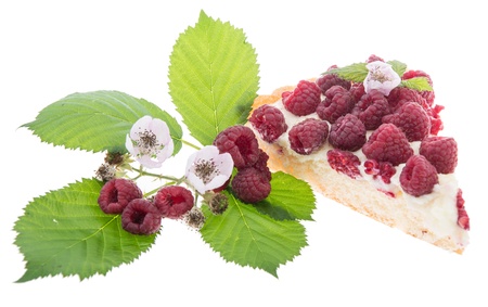 Piece of Raspberry Tart isolated on white backgroundの写真素材