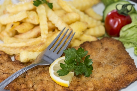 Wiener Schnitzel with Chips (macro shot)の写真素材