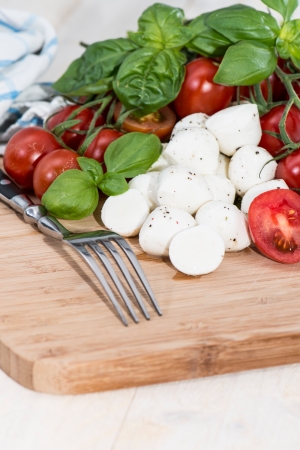 Fresh Tomatoes with Mozzarella Cheese on a cutting Boardの写真素材
