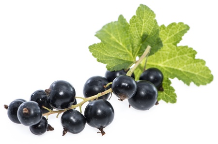 Isolated Black Currants (on white background)の写真素材