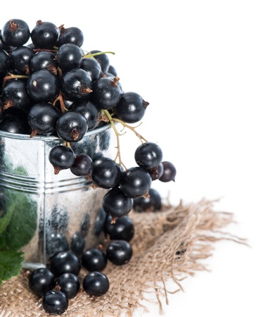 Isolated Black Currants (on white background)の写真素材