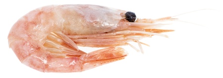 Raw Prawns isolated on white backgroundの写真素材