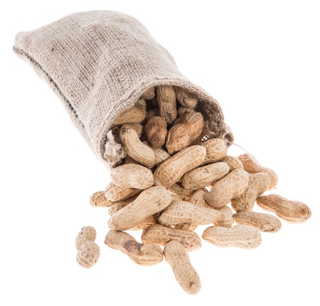 Heap of Peanuts isolated on white backgroundの写真素材