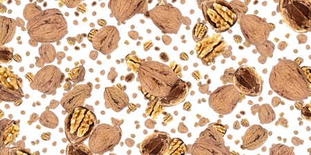 Walnut background isolated on whiteの写真素材