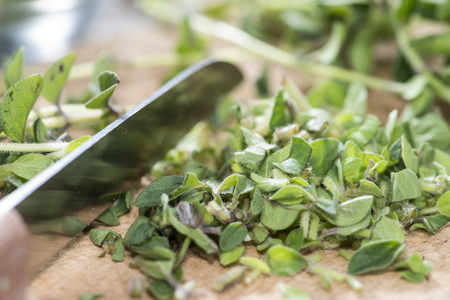 Fresh cutted Oregano on wooden background (detailed close-up shot)の写真素材