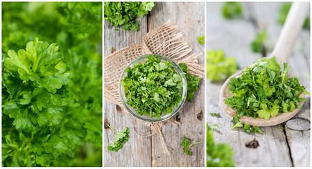 Fresh Parsley stylish collage with different close-up shotsの写真素材