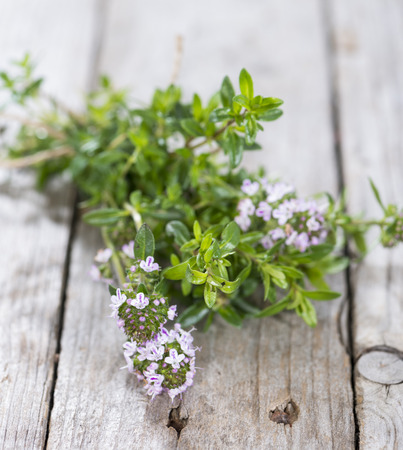 Small portion of Winter Savory (detailed close-up shot)の写真素材