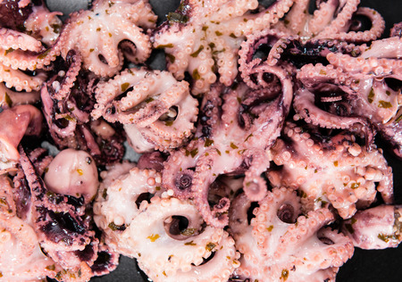 Octopus Salad with oil, garlic, parsley and lemon (for use as background image or as texture)の写真素材