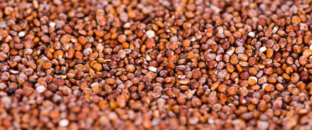 Portion of red Quinoa (detailed close-up shot) for use as background image or as textureの写真素材