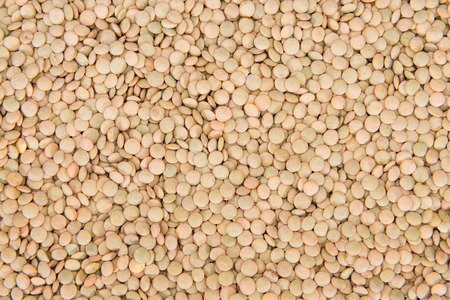 Brown Lentils for use as background image or as textureの写真素材