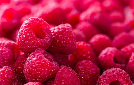 Raspberries as detailed close-up shot food background imageの写真素材