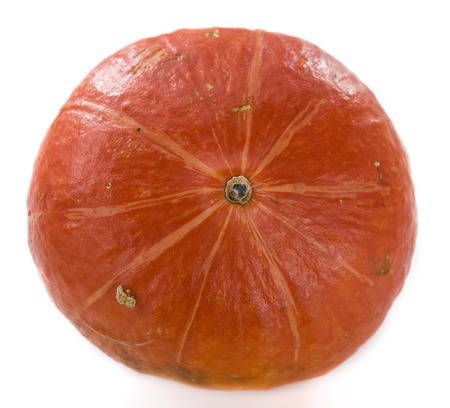 Pumpkin isolated on white background as detailed close-up shotの写真素材