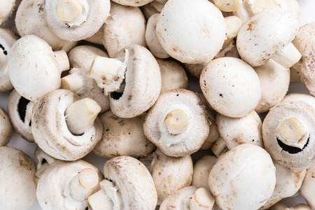 Portion of white Mushrooms for use as background image or as textureの写真素材