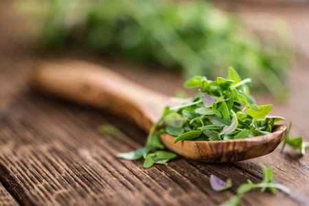 Portion of fresh Thyme (close-up shot) on wooden backgroundの写真素材