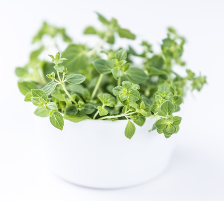 Fresh Oregano (selective focus; close-up shot) on white backgroundの写真素材