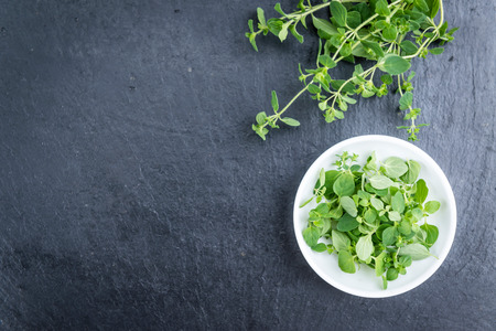 Fresh Oregano (on a slate slab) as detailed close-up shot (selective focus)の写真素材