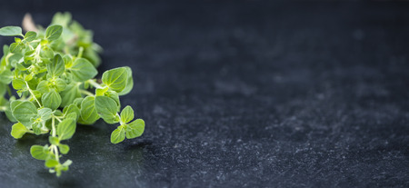 Fresh Oregano (on a slate slab) as detailed close-up shot (selective focus)の写真素材