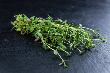 Fresh Thyme on a slate slab (selective focus; close-up shot)