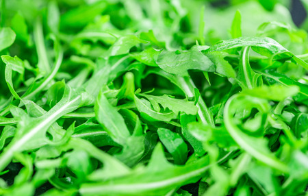 Fresh Arugula (selective focus) as detailed close-up shot on vintage backgroundの写真素材