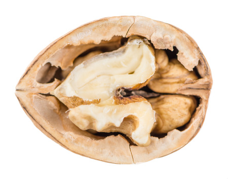 Walnuts (kernels) isolated on white background (selective focus; close-up shot)の写真素材