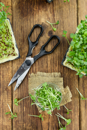 Fresh cutted Cress as high detailed close-up shot on a vintage wooden table (selective focus)の写真素材