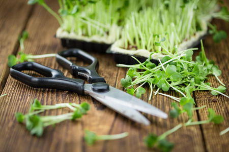 Fresh cutted Cress as high detailed close-up shot on a vintage wooden table (selective focus)の写真素材