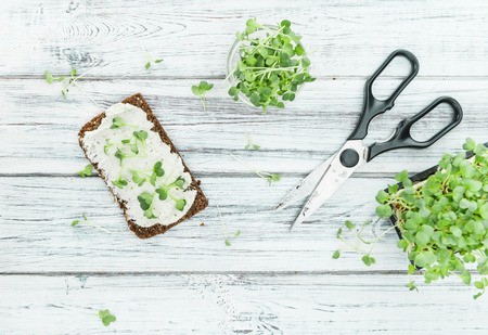 An old wooden table with healthy food (slice of bread, cream cheese and fresh cutted cress), selective focusの写真素材