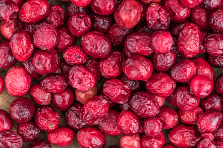 Dried Cranberries (selective focus; detailed close-up shot)の写真素材