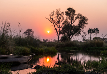 Sunset in the Okavango Delta with Makoros in frontの写真素材