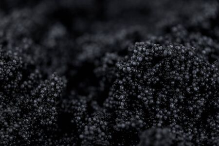 Portion of fresh Black Caviar (selective focus; close-up shot)の写真素材