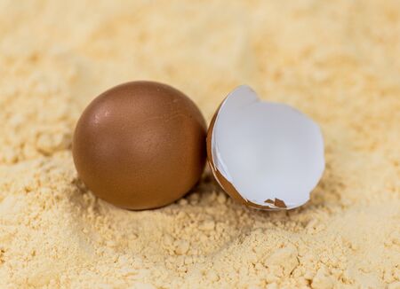 Powdered Eggs (fresh) as detailed close-up shot, selective focus)