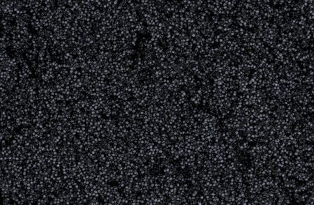 Portion of Black Caviar as detailed close-up shot; selective focusの写真素材