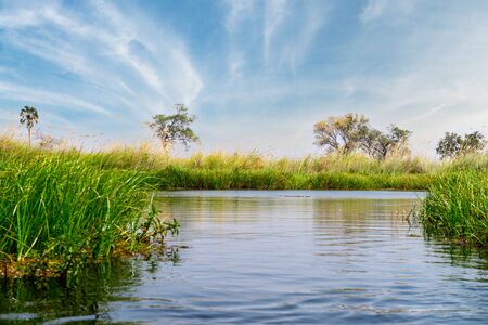 Adventure boat trip in a traditional Makoro at the Okavango Delta, Botswanaの写真素材