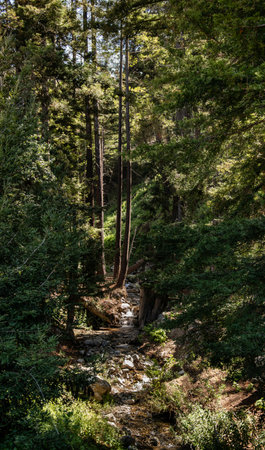 Julia Pfeiffer Burns State Park in California, United States